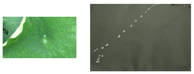 星空·综合体育医用纺织