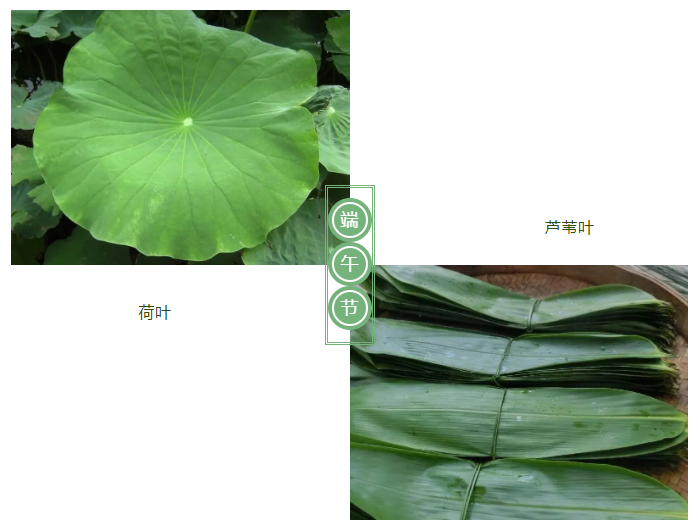 星空·综合体育医纺