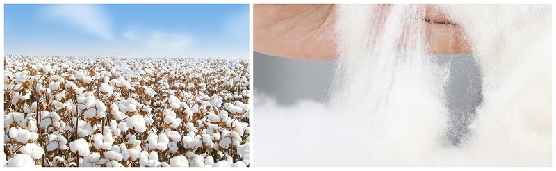 星空·综合体育医纺