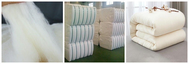 星空·综合体育医纺