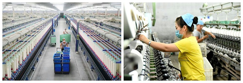 星空·综合体育医纺