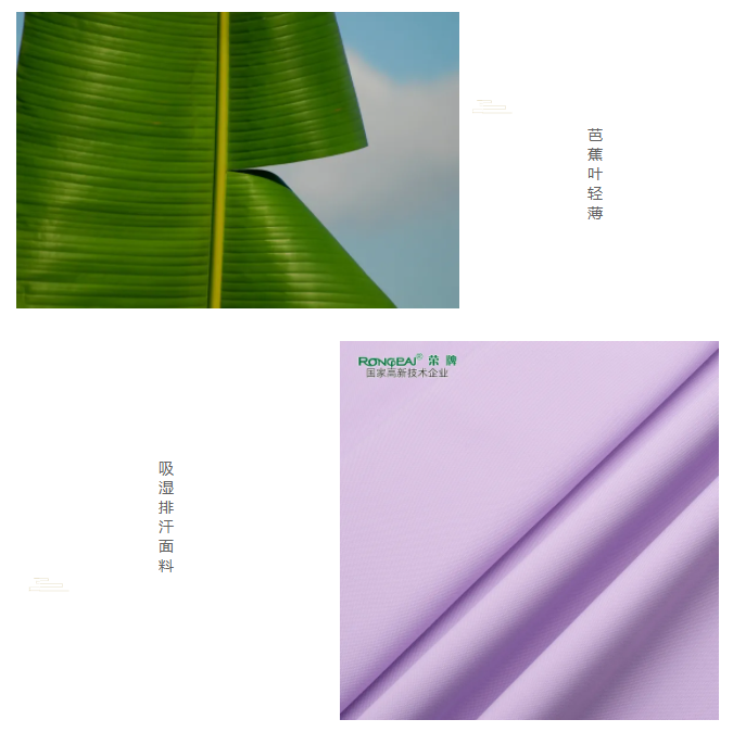 星空·综合体育医纺