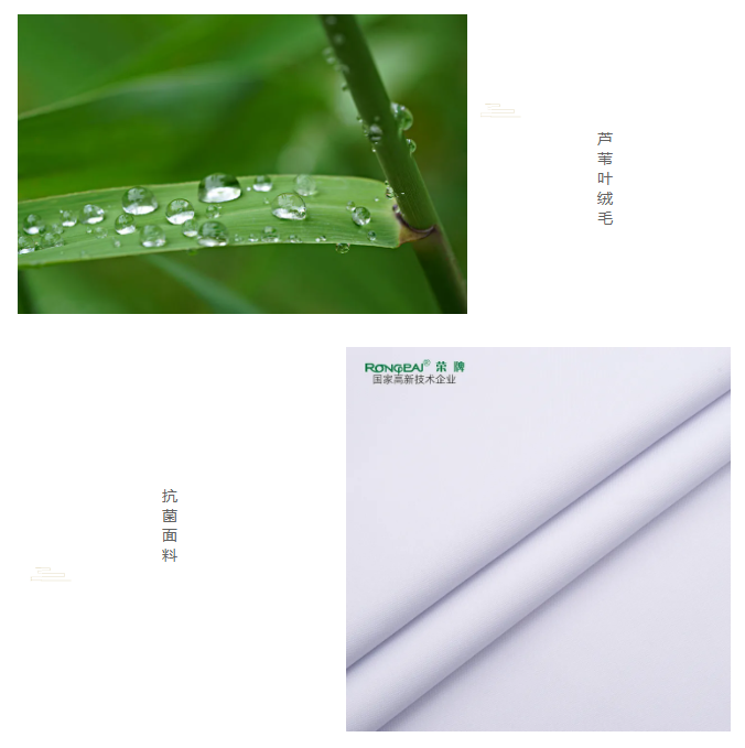 星空·综合体育医纺