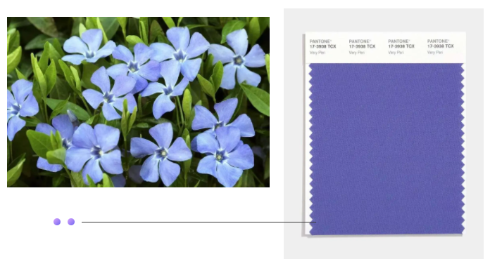 星空·综合体育纺织面料