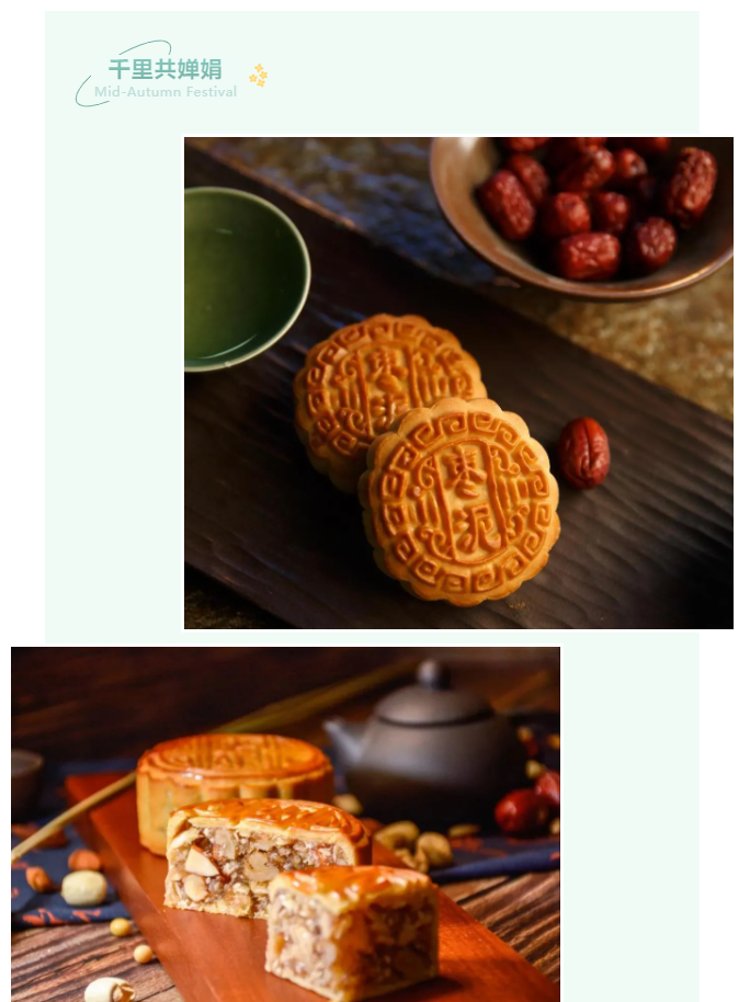 星空·综合体育医纺