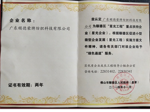 星空·综合体育荣获政府重点扶持企业